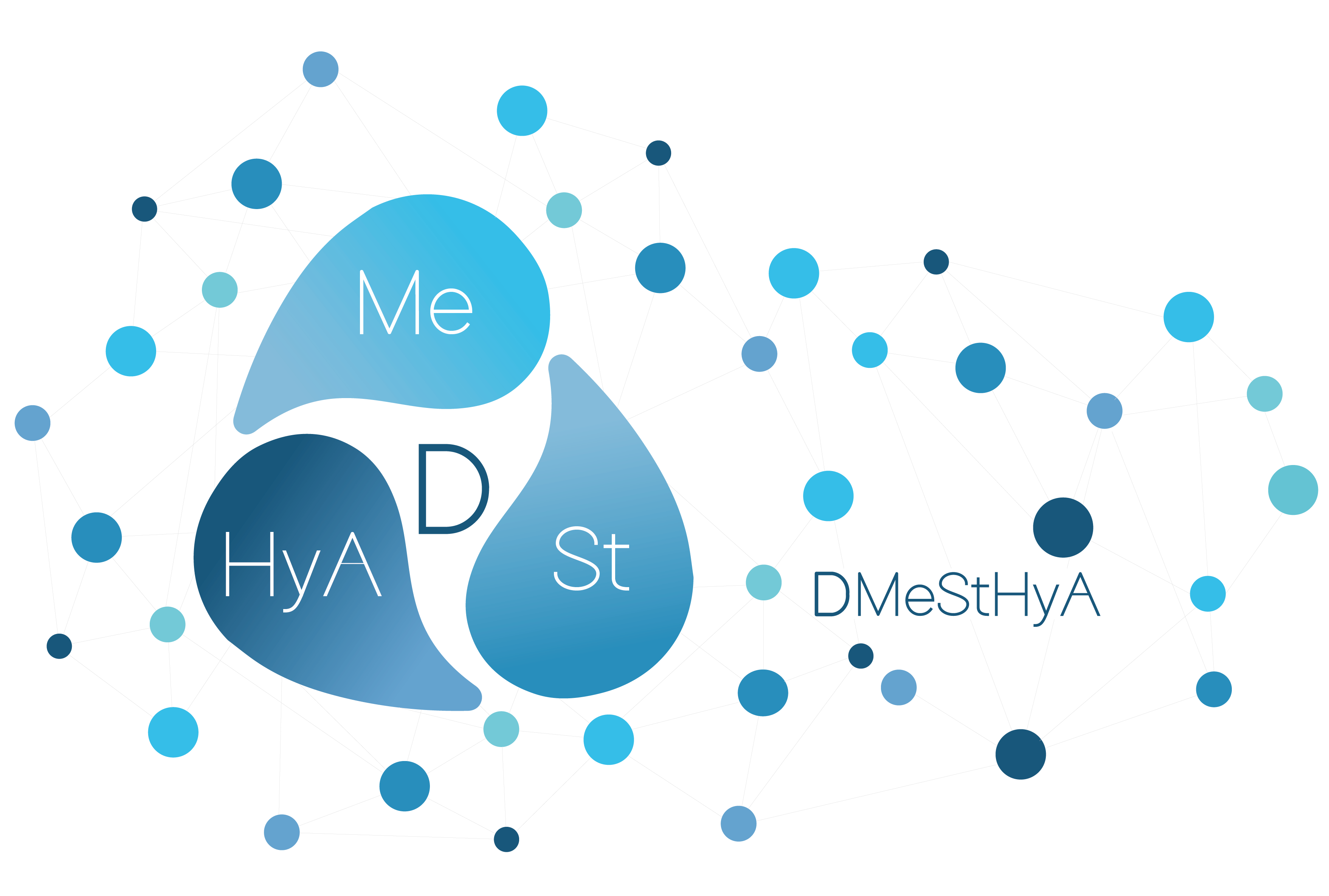 DMeStHyA